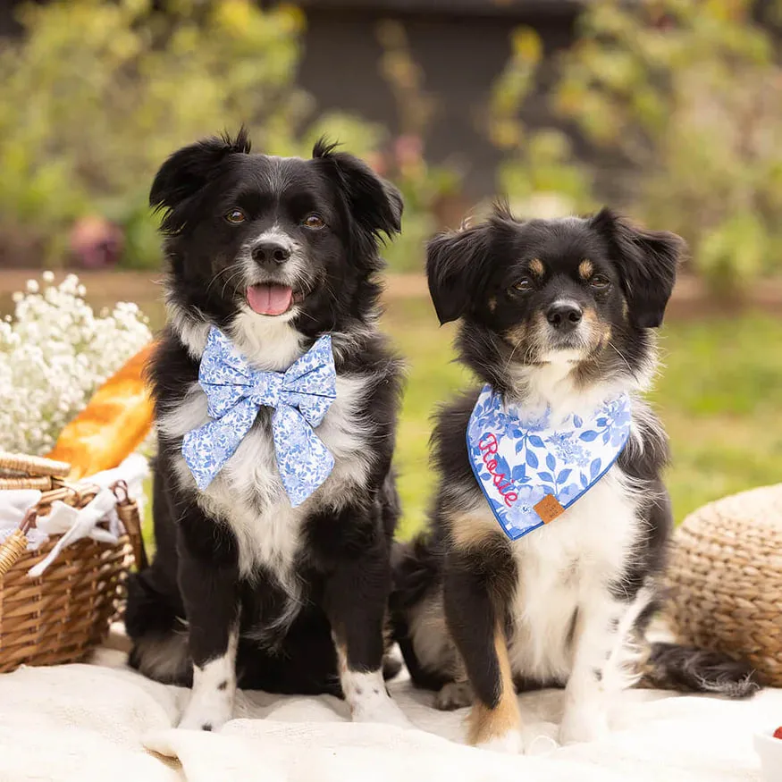 Dog and Cat Bandana: Blue Roses